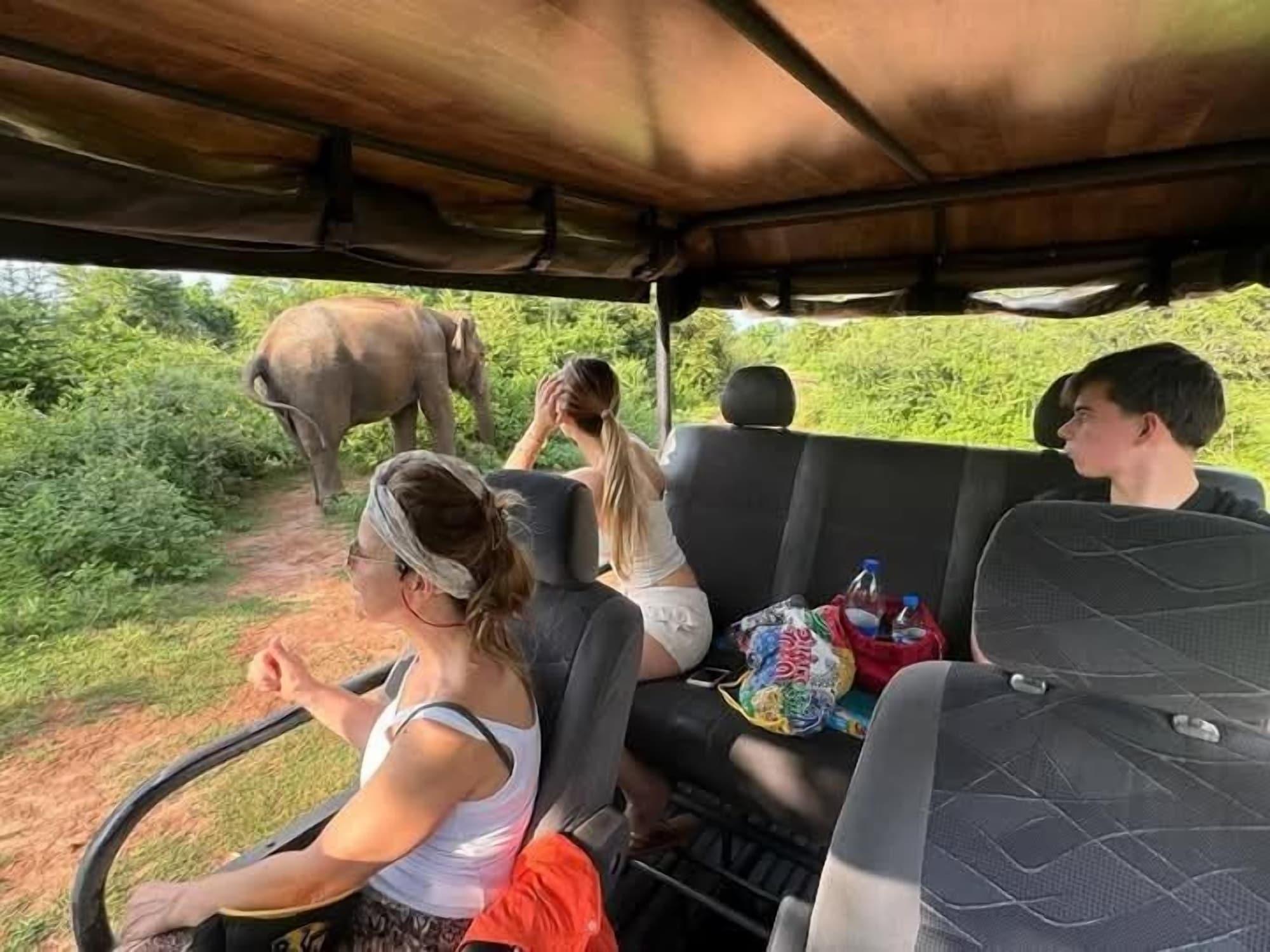 Varios Green View Safari Resort