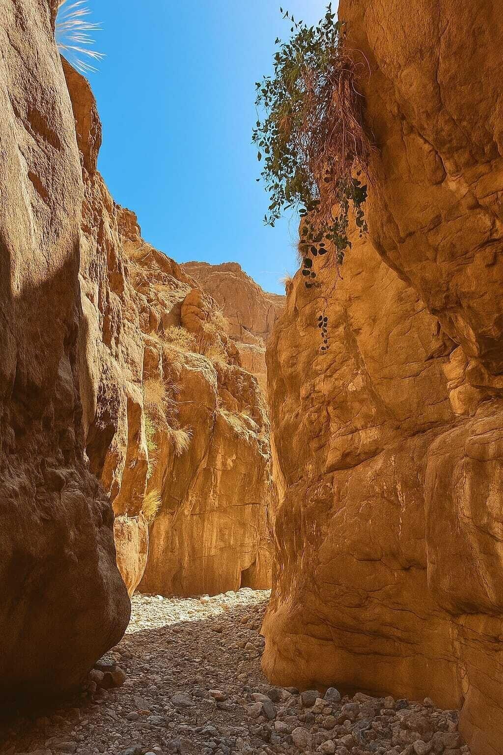 Instalaciones Recreativas Maison d'hôtes Mogador chez habitants