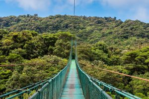 Actividad - Excursión a los puentes colgantes de Monteverde