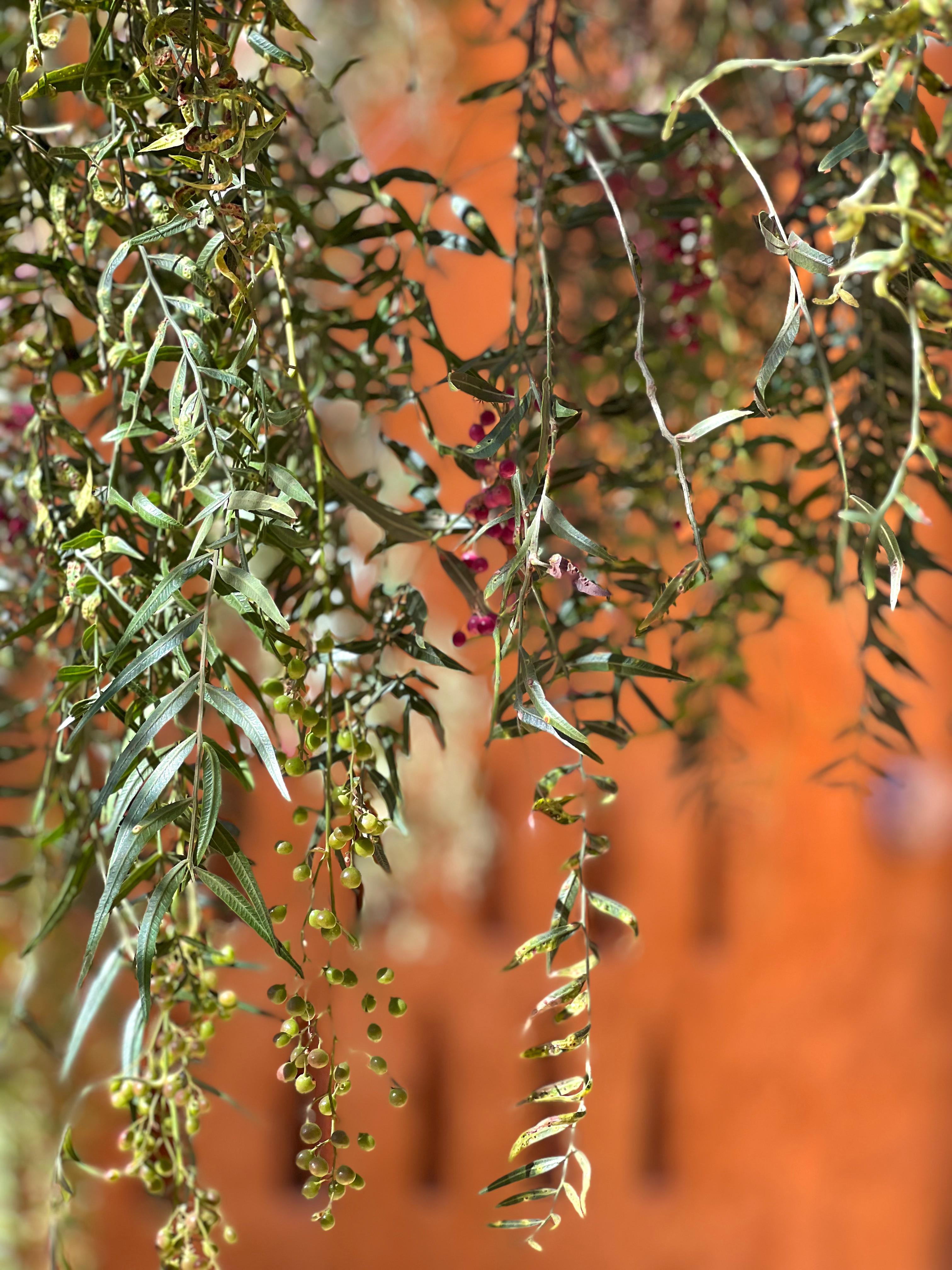 Gimnasio La Paleta del Pintor Hosteria