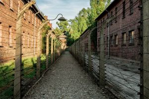Actividad - Excursión a Auschwitz-Birkenau