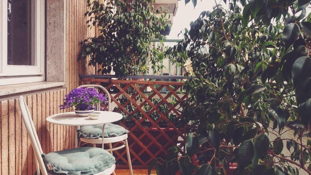 Comodidades del Alojamiento B&B La Peonia