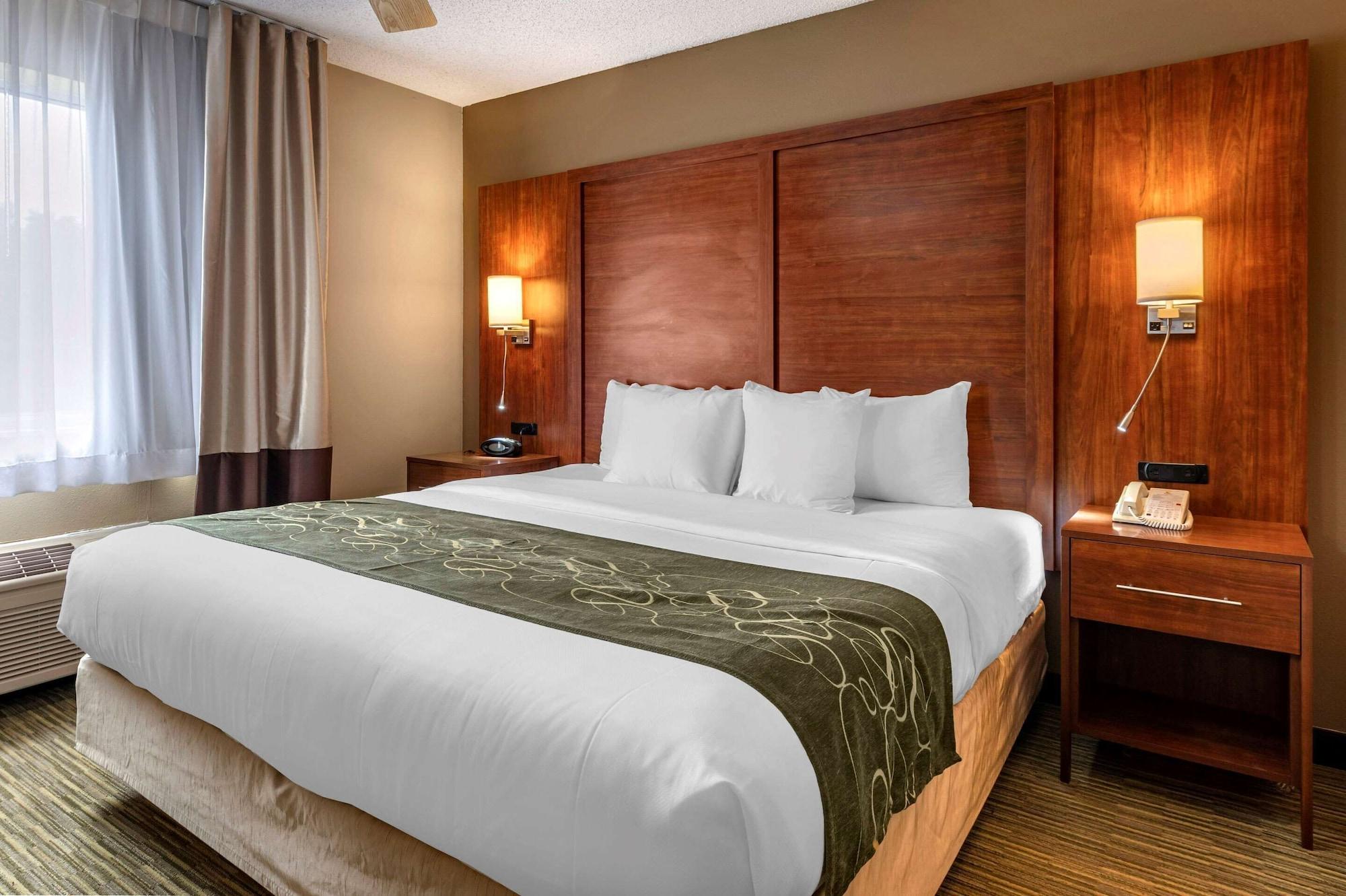 Habitación Comfort Suites Elkhart North