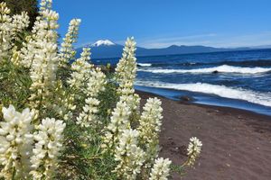 Alojamiento - Hotel Lodge Las Cascadas