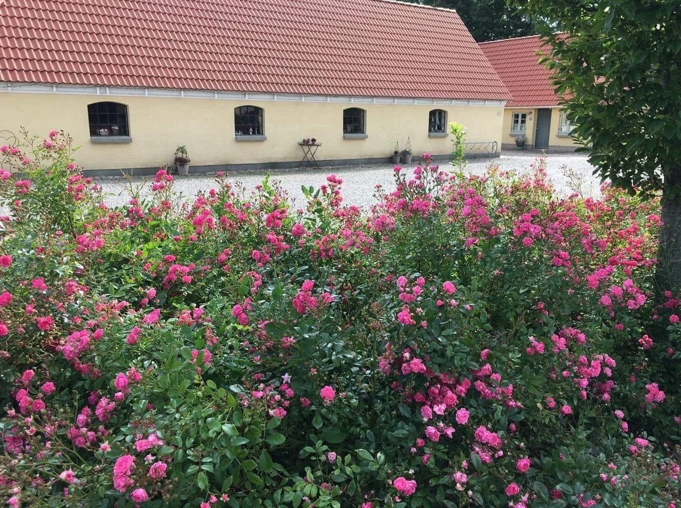 Vista Exterior Birkende Bed And Breakfast