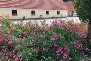 Alojamiento - Birkende Bed And Breakfast