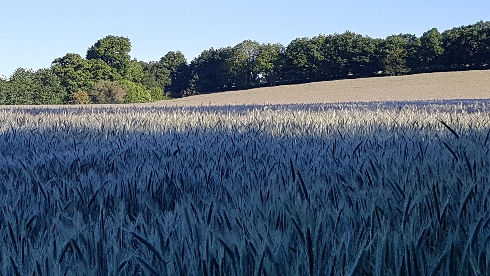 Instalaciones Recreativas Nuances bretonnes