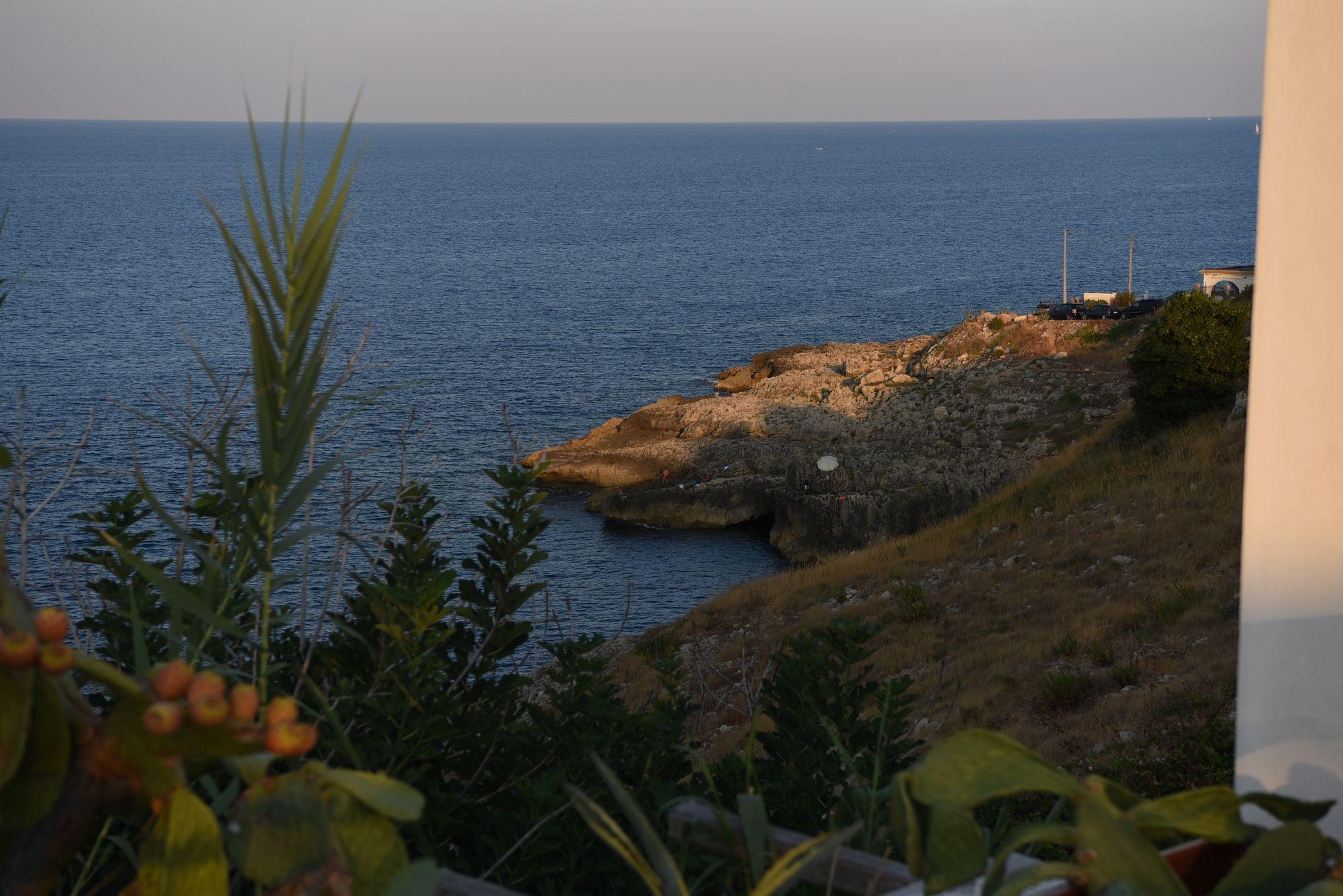 Playa Hotel Venus Sea Garden