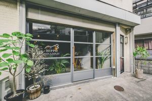 Alojamiento - HIPPO Hostel & Cafe Bar