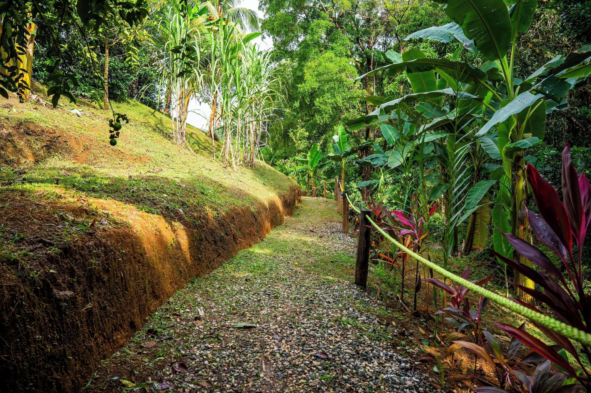 Vista Exterior Cotingas Ocean View