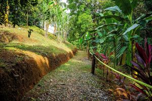 Alojamiento - Cotingas Ocean View