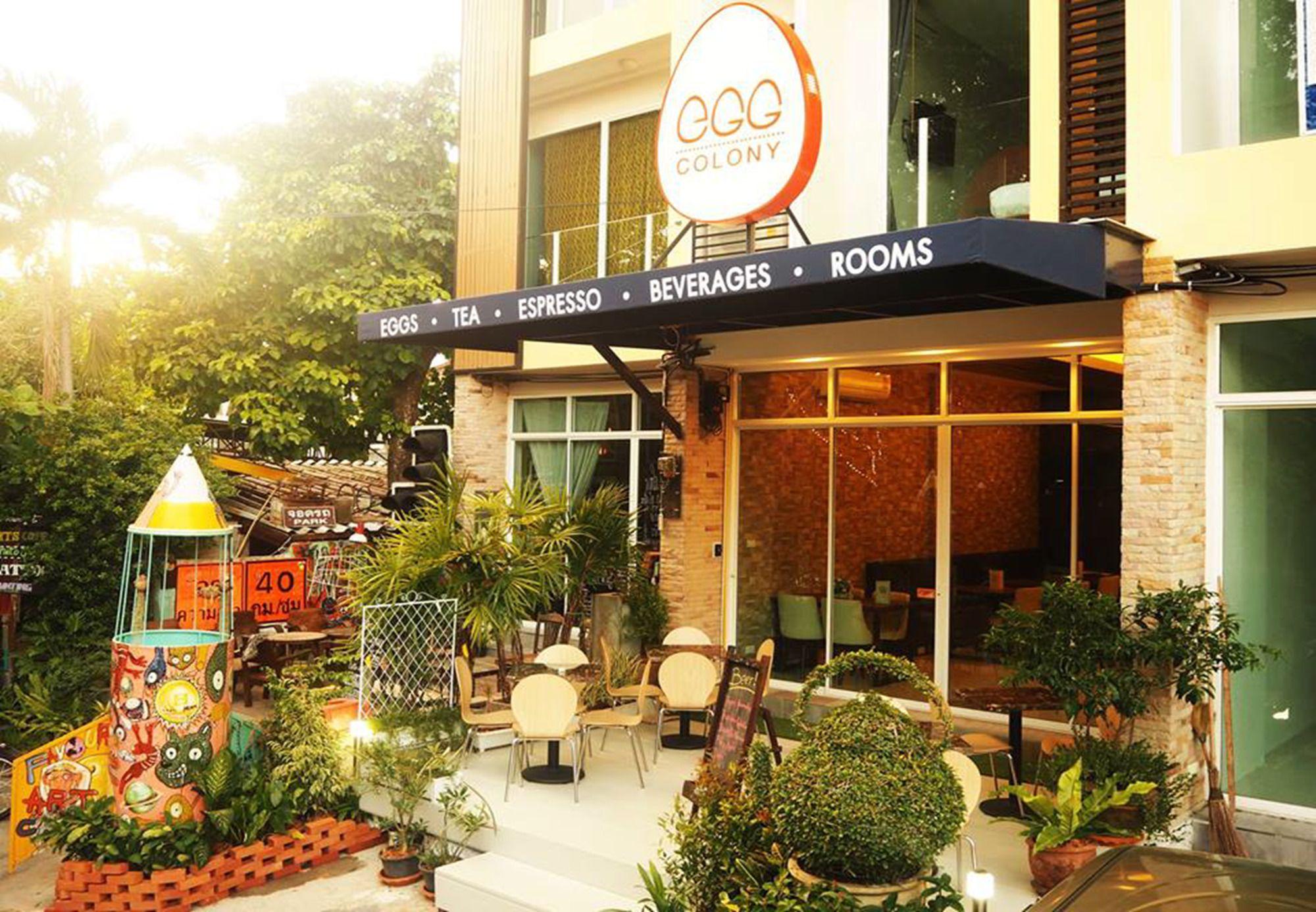 Vista Exterior Egg Colony