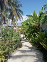 Alojamiento - Villa Huruma