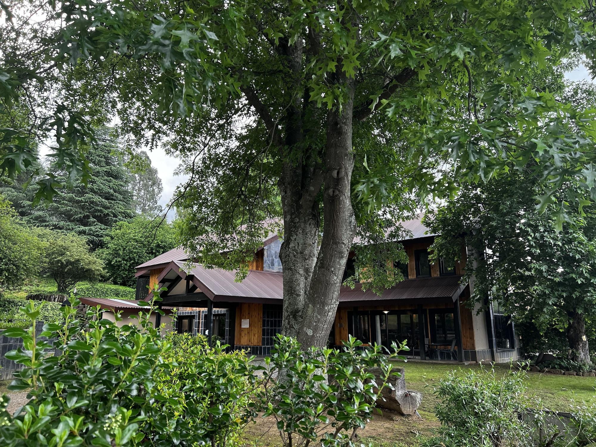 Vista Exterior Malachite Manor