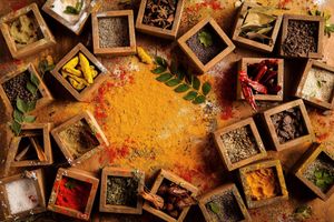 Alojamiento - Hyatt Regency Chennai