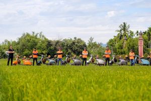 Actividad - Campo de Hanoi en Vespa - Tour en grupos pequeños