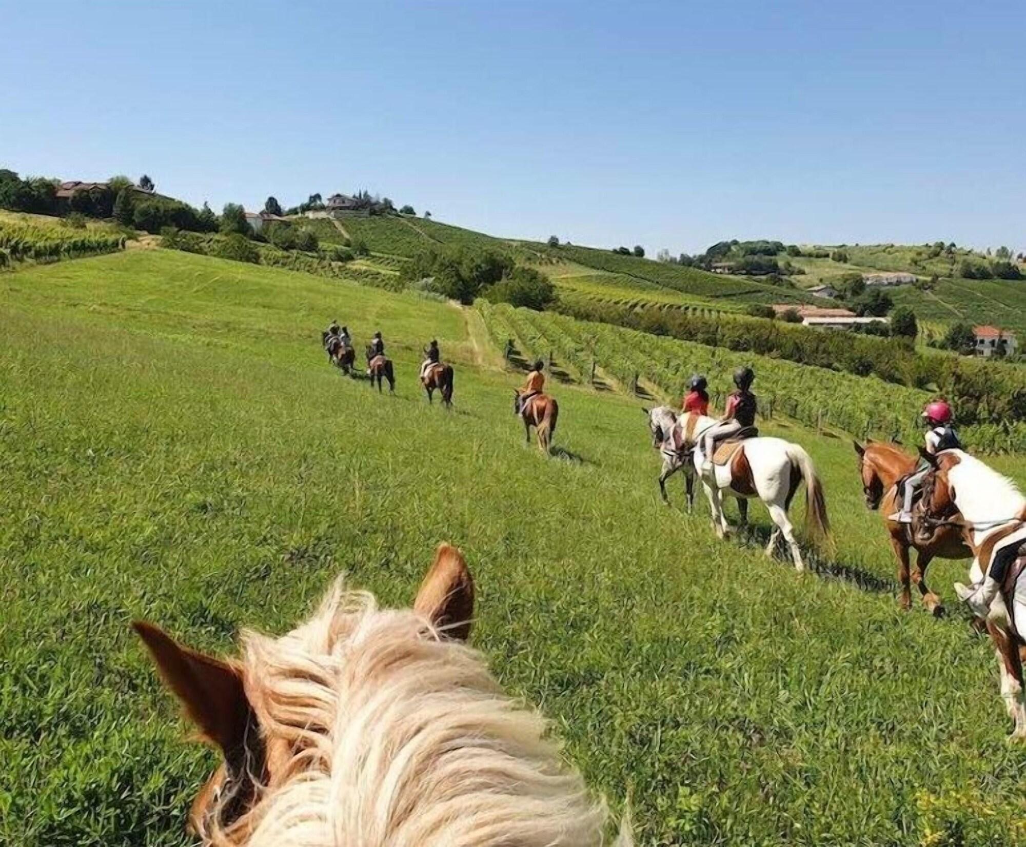 Instalaciones Recreativas Residenza Ilde