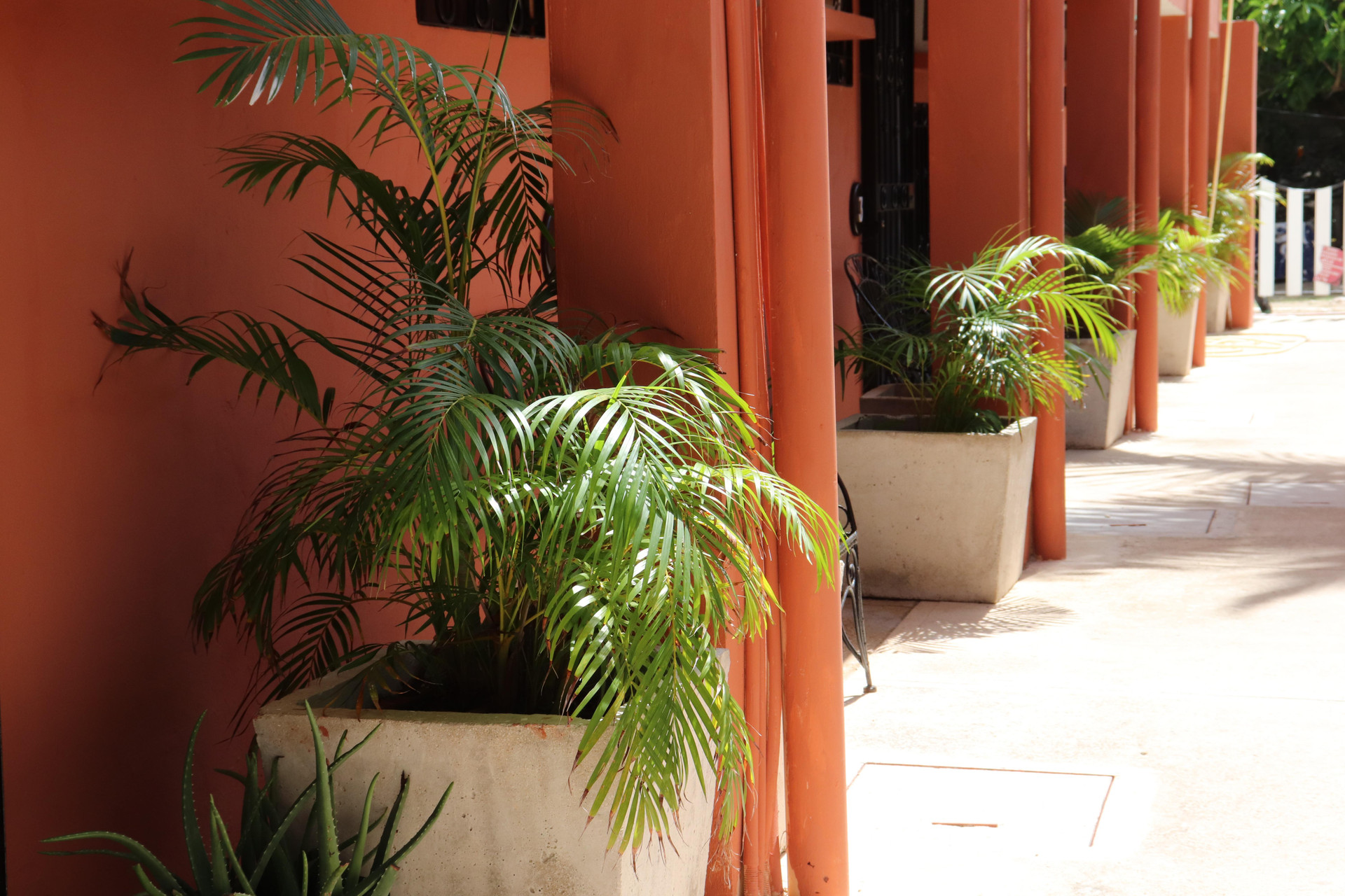 Vista Exterior Andreas Tulum Hotel
