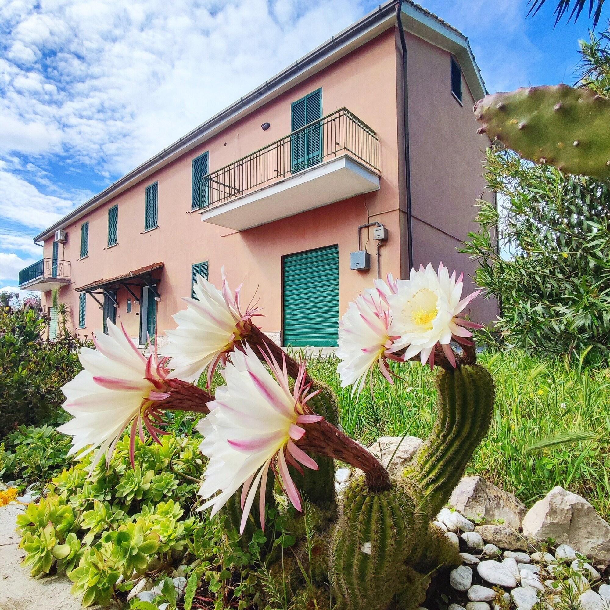 Varios Eco House San Michele