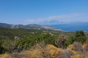 Actividad - Descubre Zante: Recorrido todoterreno en jeep cerrado