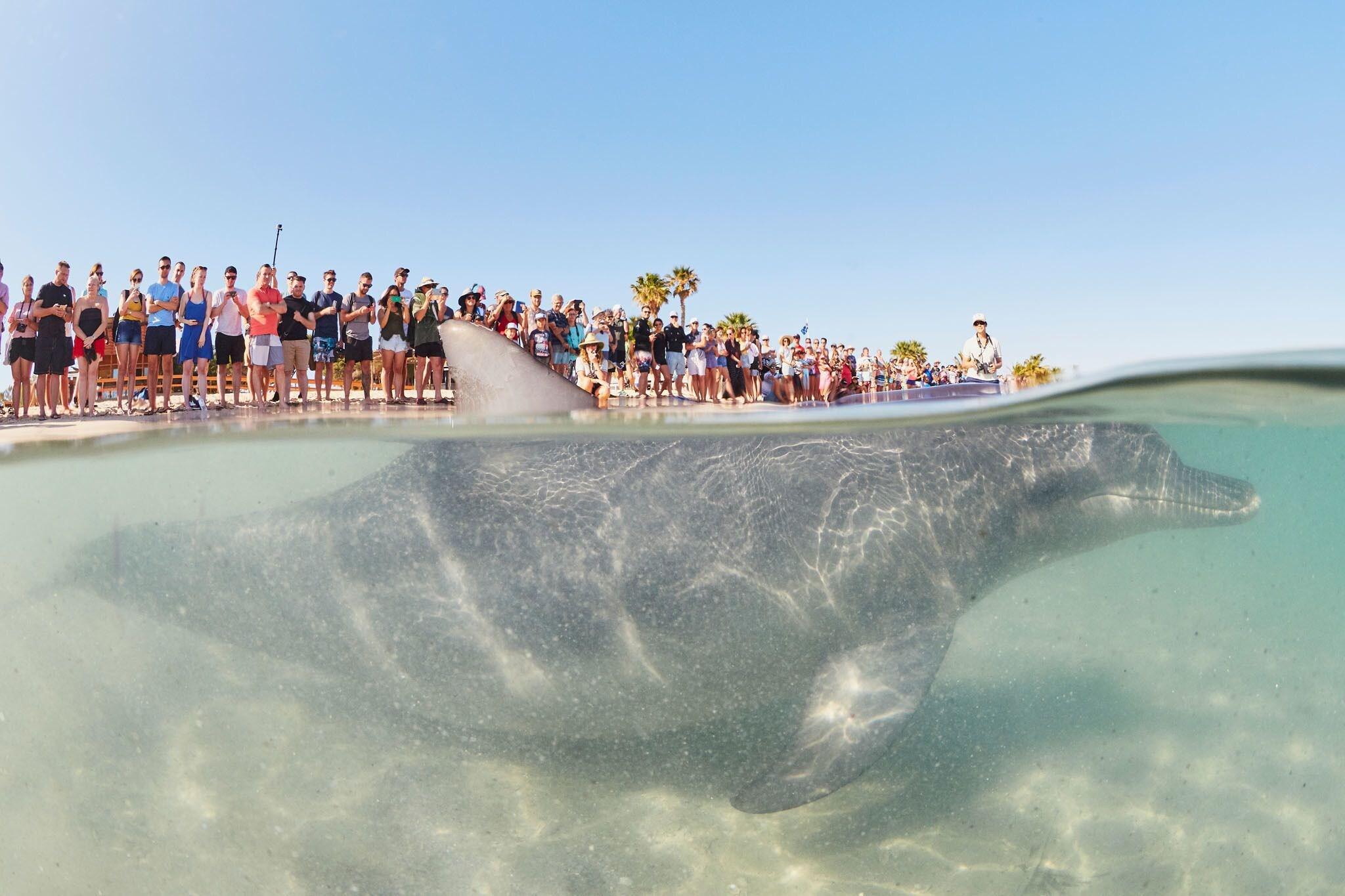 Playa RAC Monkey Mia Dolphin Resort