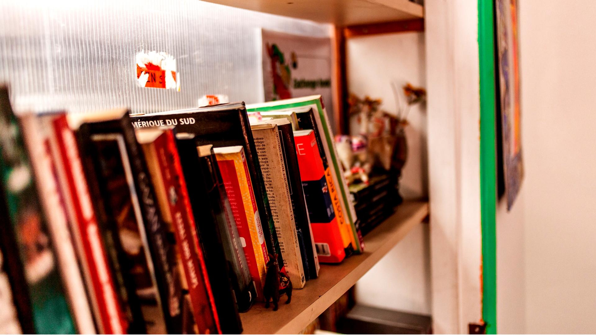 Instalaciones Recreativas Red Llama Eco Hostel