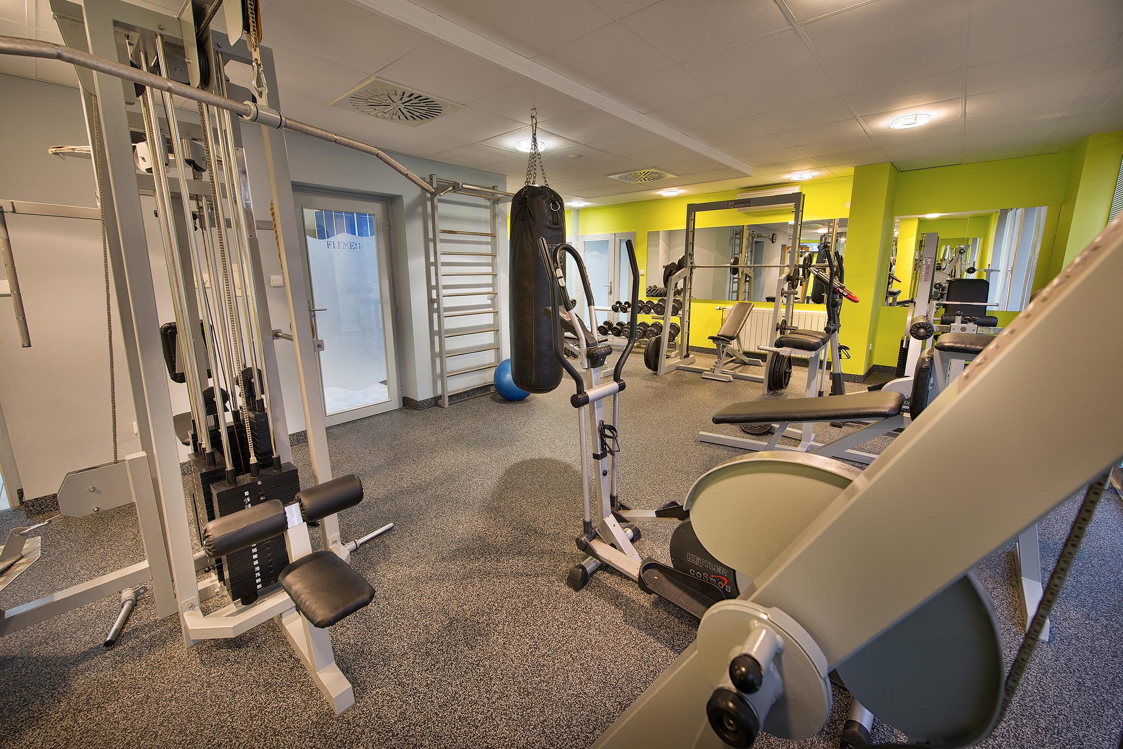 Instalaciones Recreativas Premium Hotel Znojmo