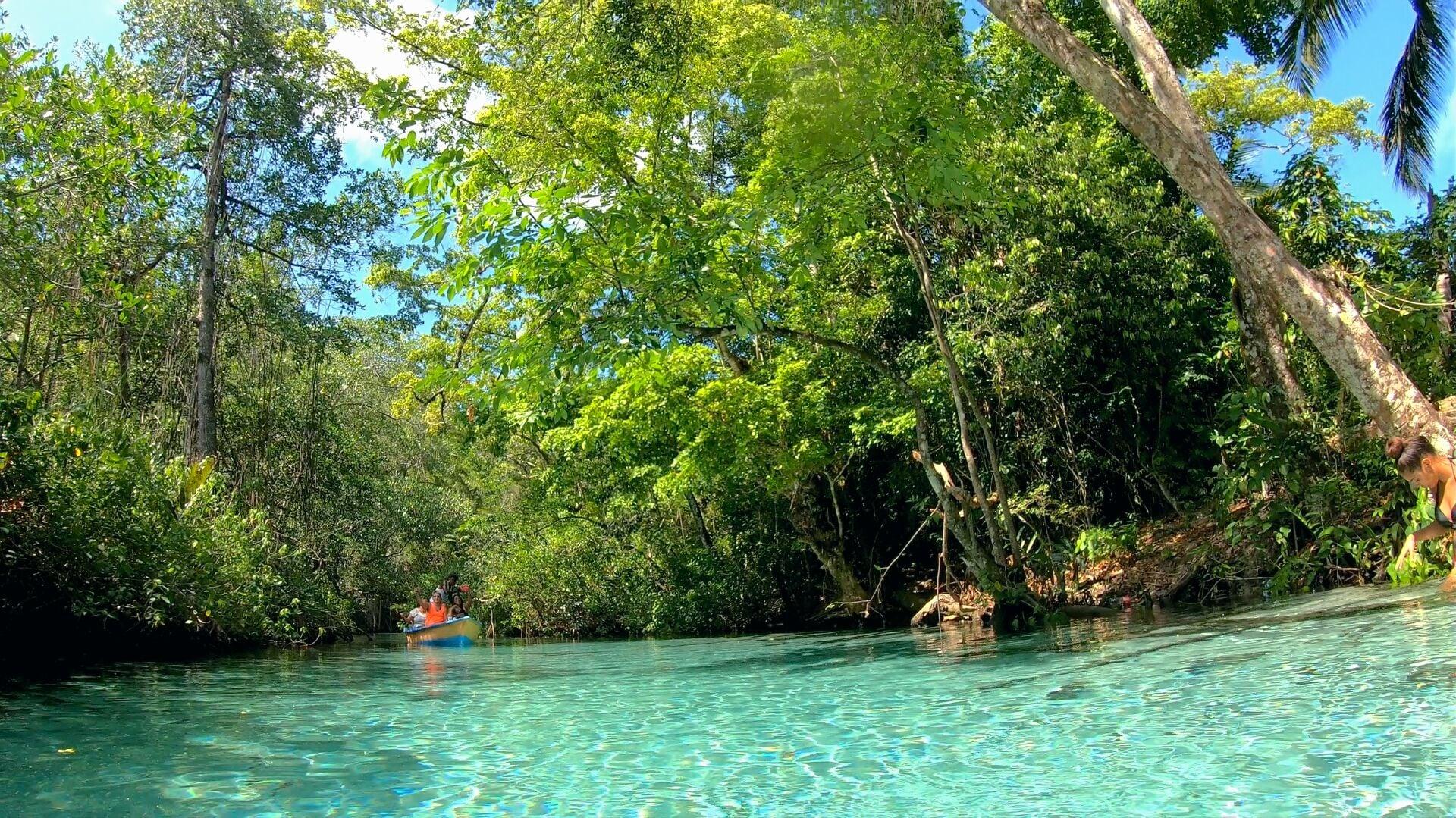 Playa Paradiso del Caribe
