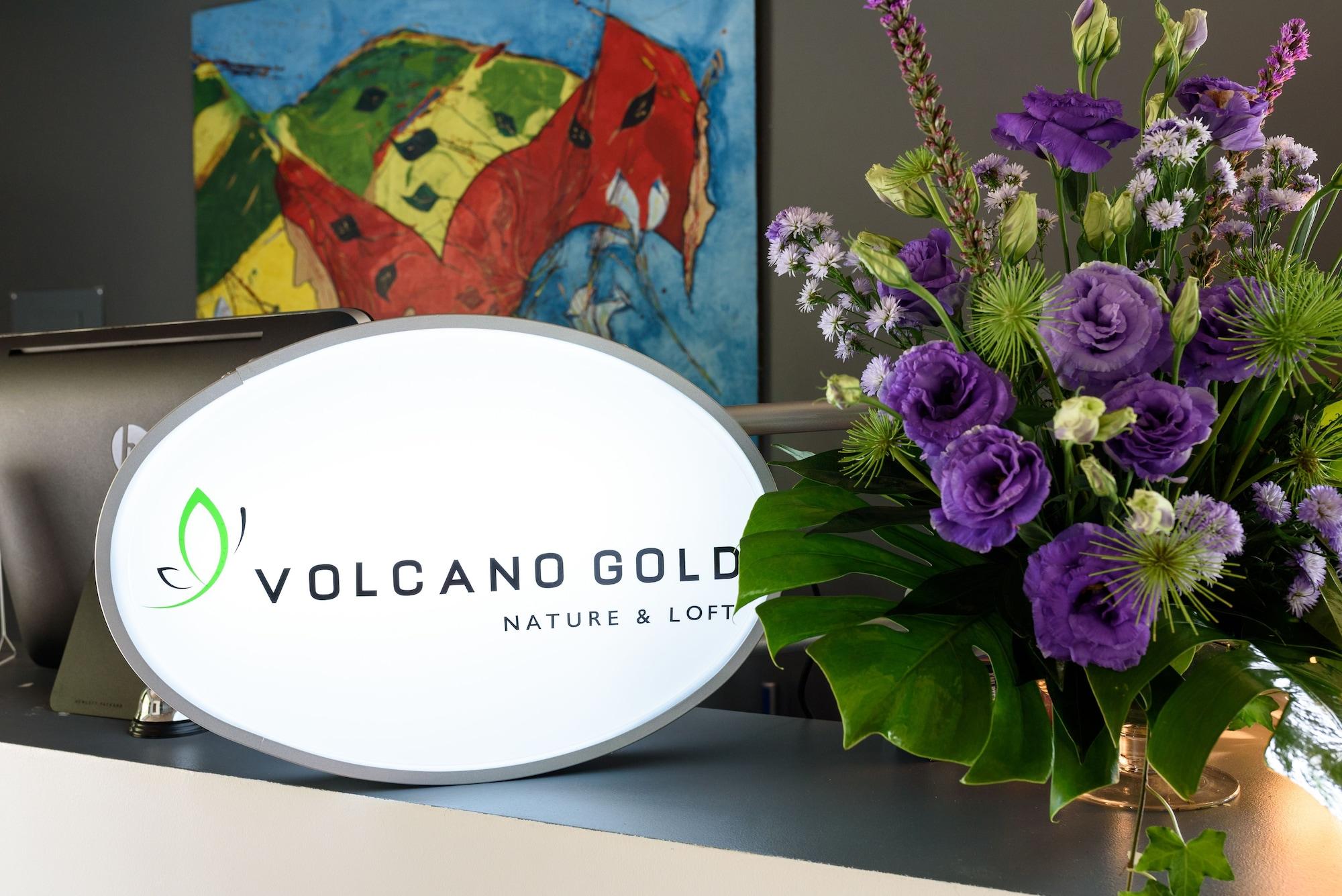 Vista Lobby Volcano Gold Loft