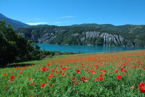 Alquiler Vacacional - Vrbo Property