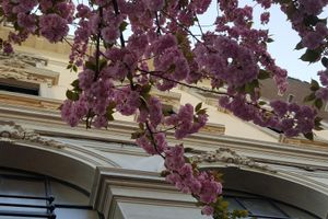 Alojamiento - Hotel La Nuova Rotaia