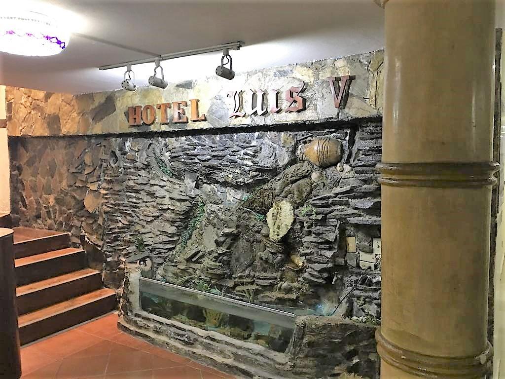 Vista Lobby Luis V