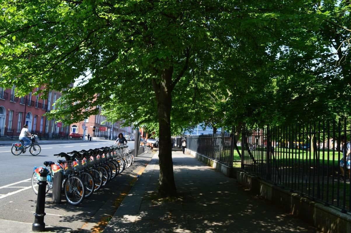 Vista Exterior Blue Horseshoe - Hostel