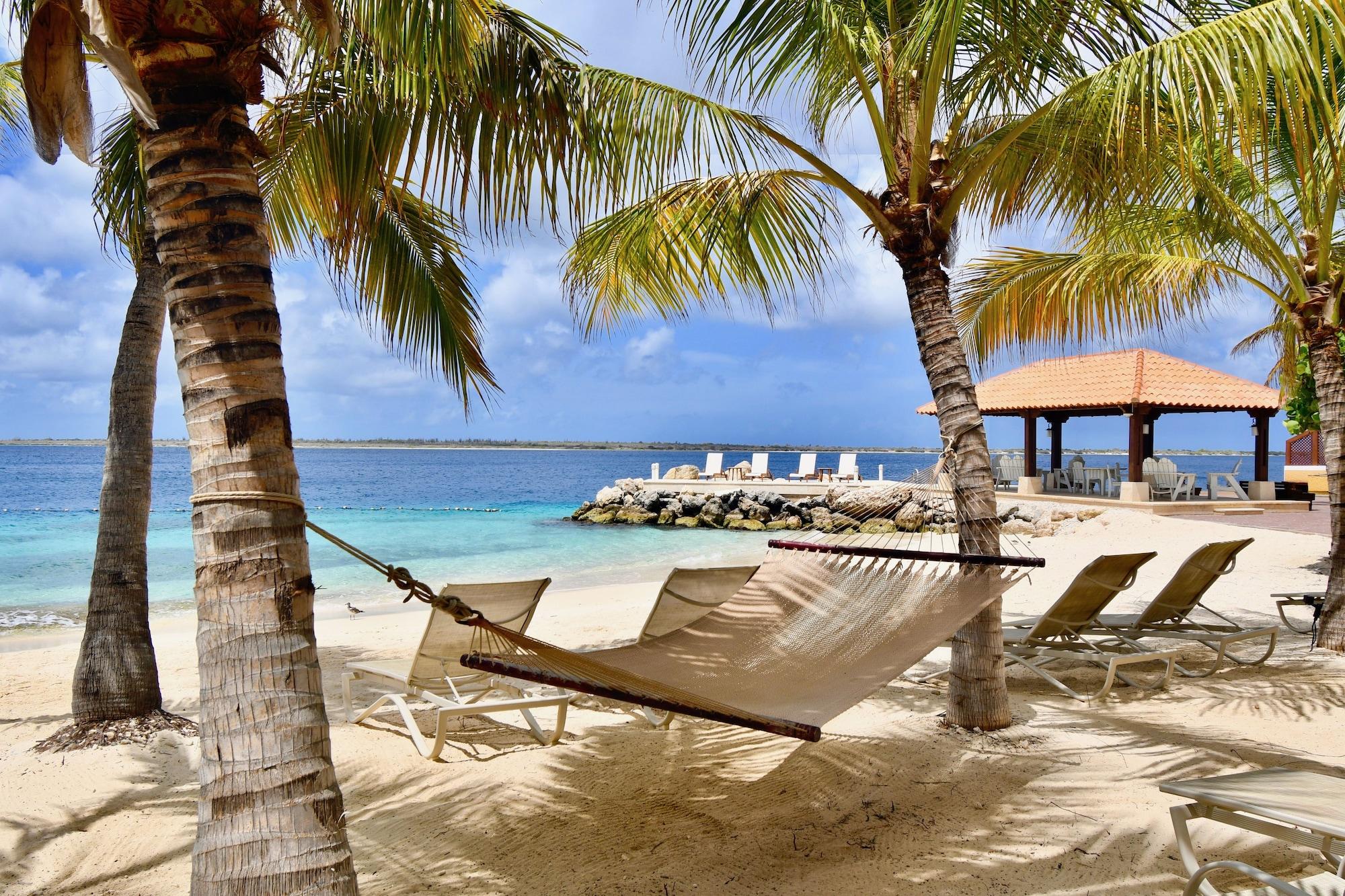 Playa Harbour Village Beach Club Bonaire