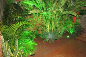 Alojamiento - Pousada Rio das Águas