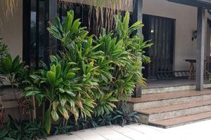 Alojamiento - Mansão de Pirah