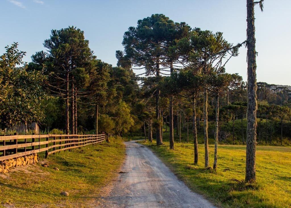Varios Hospedagem Rural Recanto do Riacho