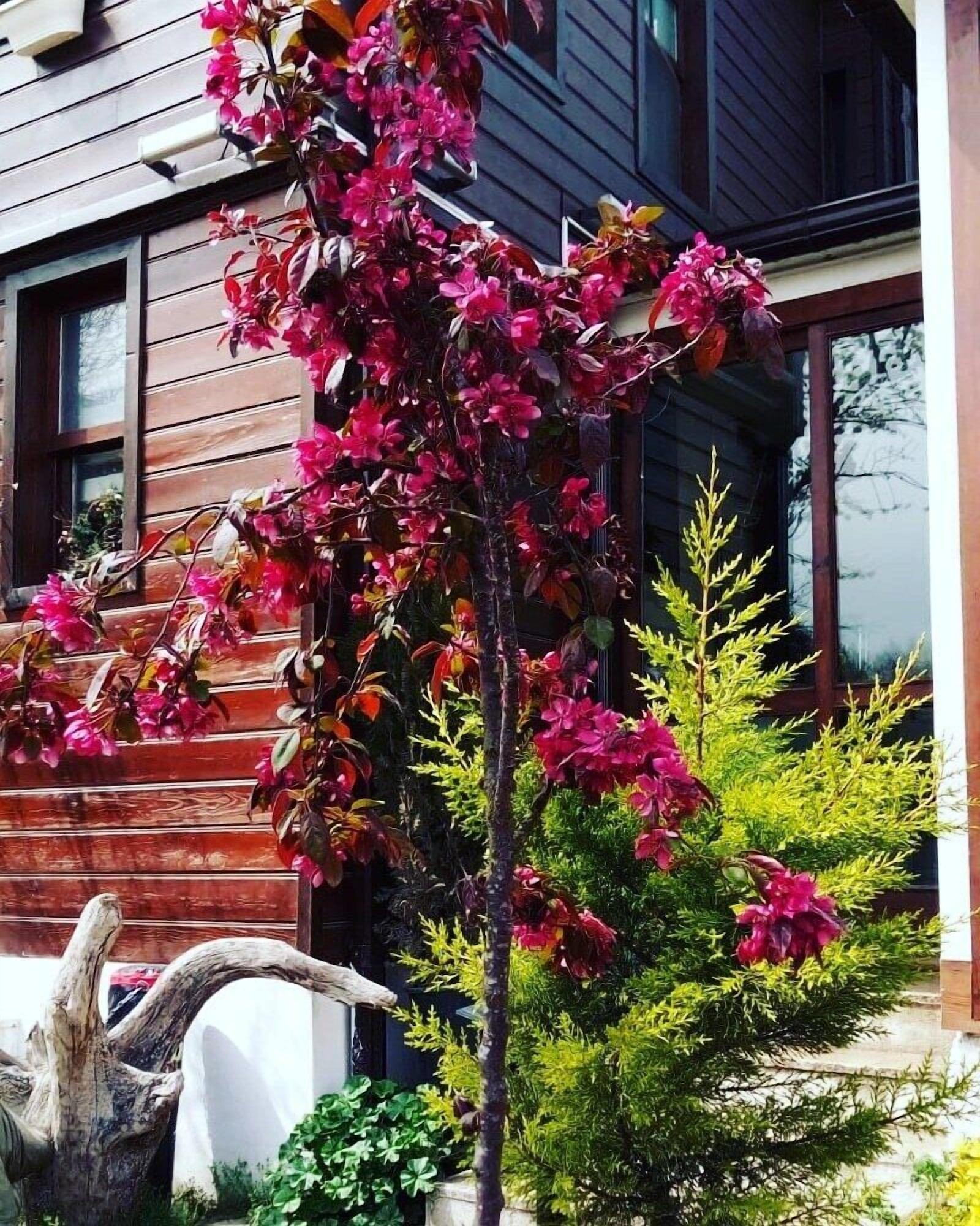 Vista Exterior Atakale Butik Otel