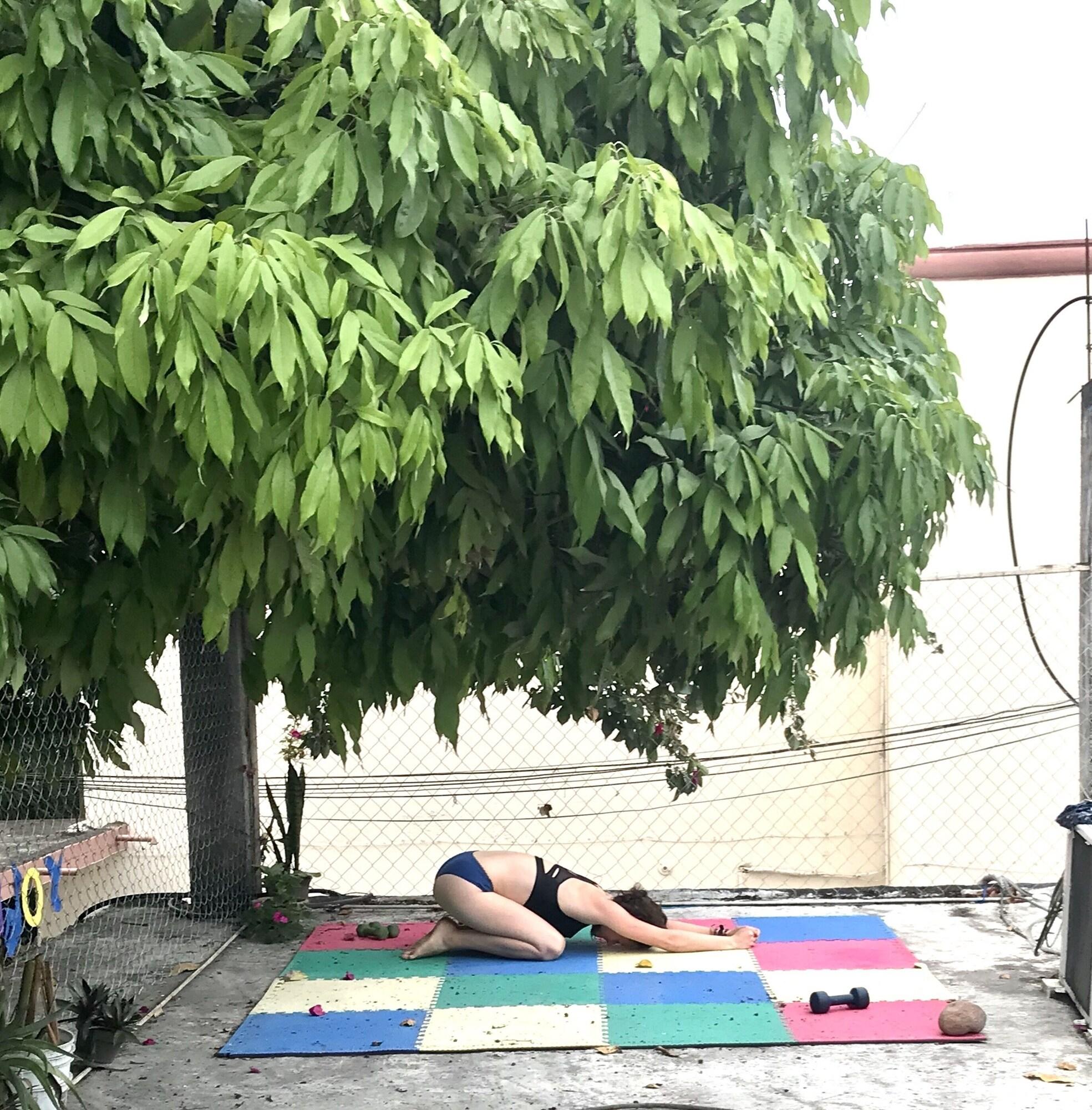 Gimnasio Hostal Casa Huasteca