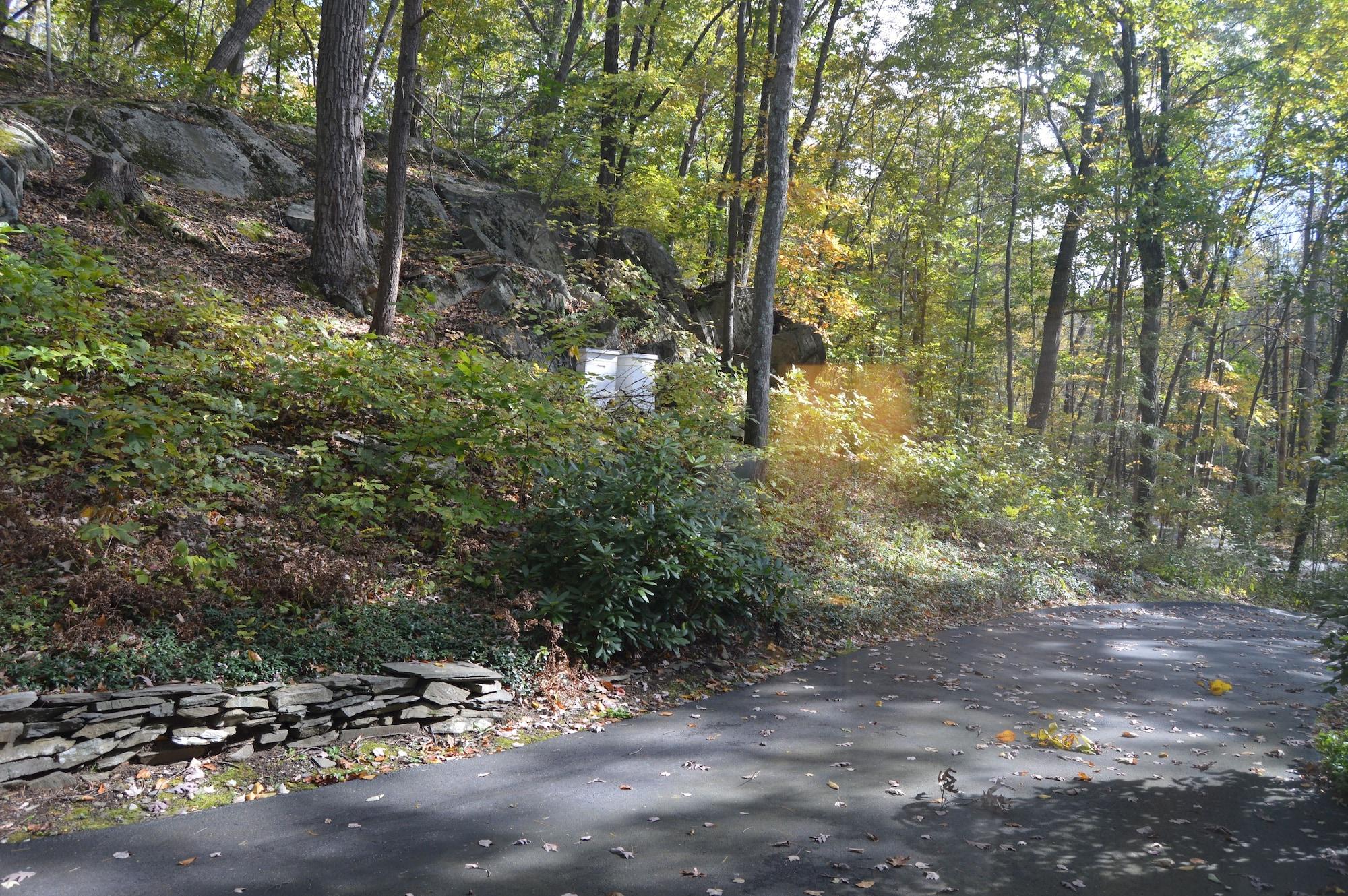 Equipamiento de Habitación Inn the Woods Bed and Breakfast