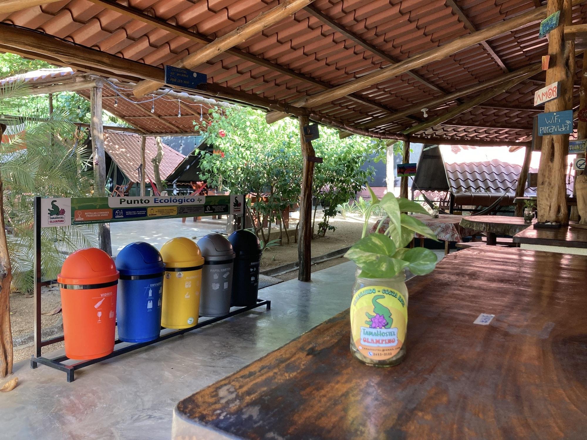 Vista Lobby TamaHostel & Glamping