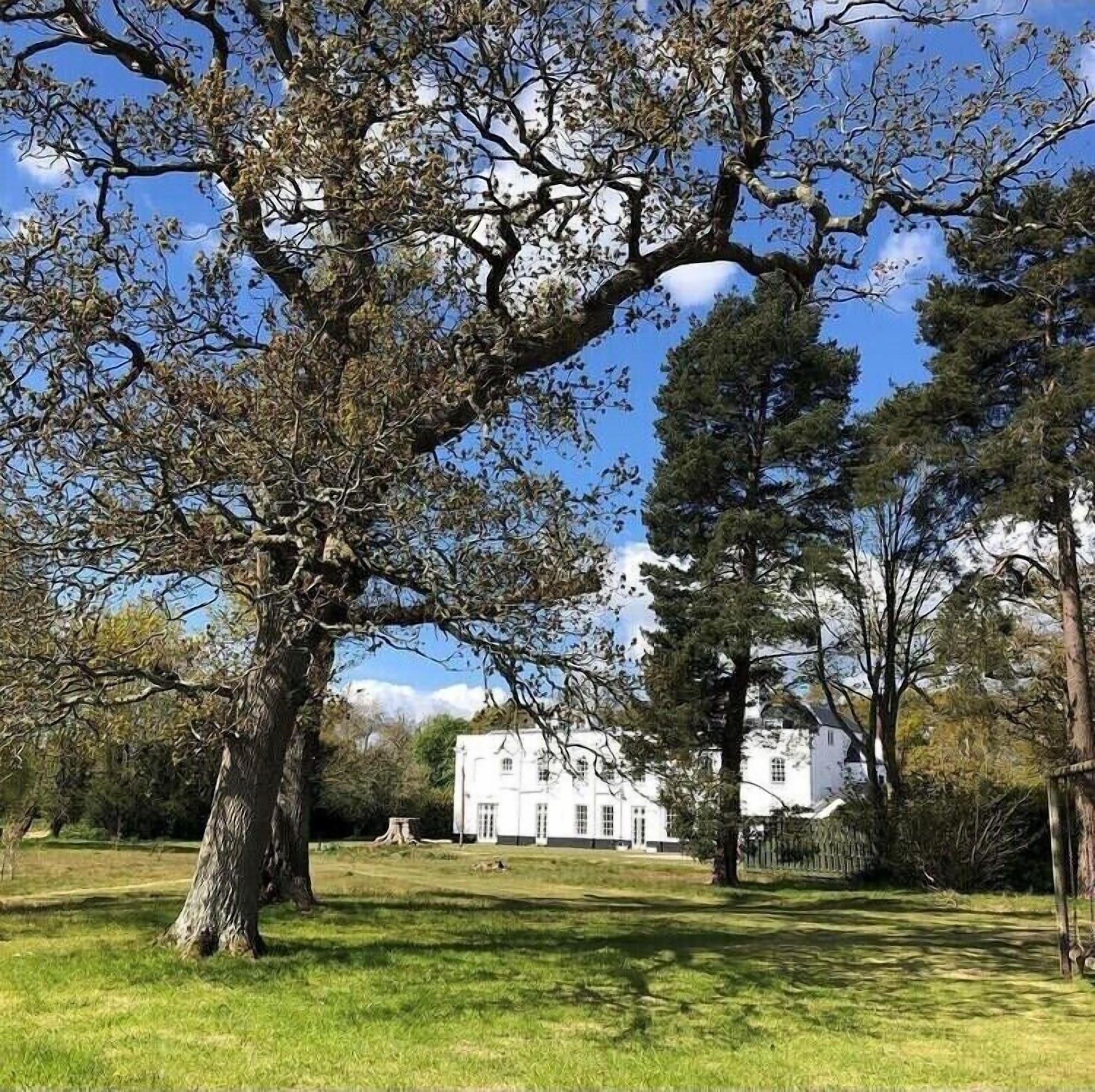 Vista Exterior The Retreat New Forest