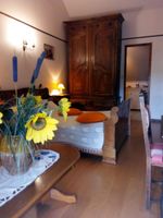 Alojamiento - Bed and breakfast at the farm, Lourdes, Pyrenees, ANOUSTA