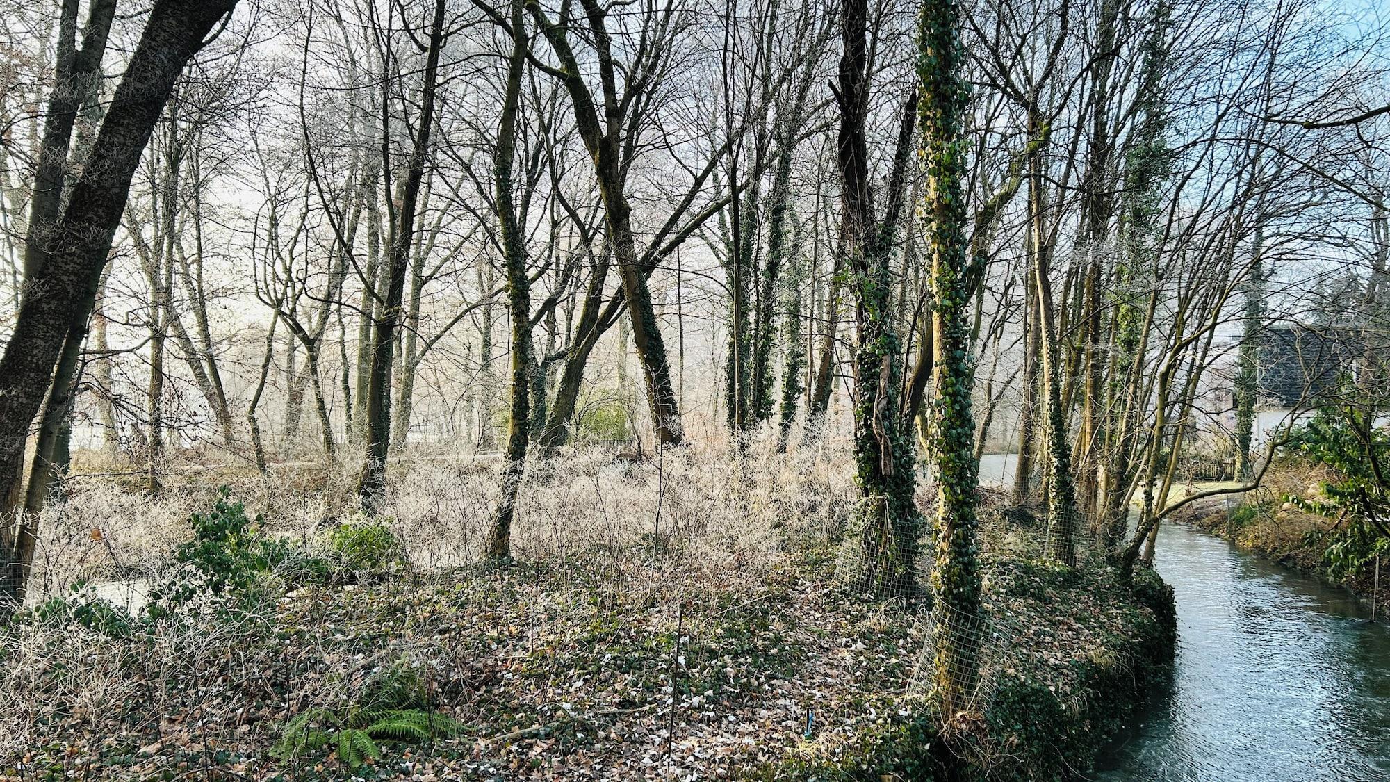 Varios Hotel Biederstein am Englischen Garten