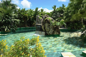 Actividad - Tour de día completo para experimentar el volcán Arenal.