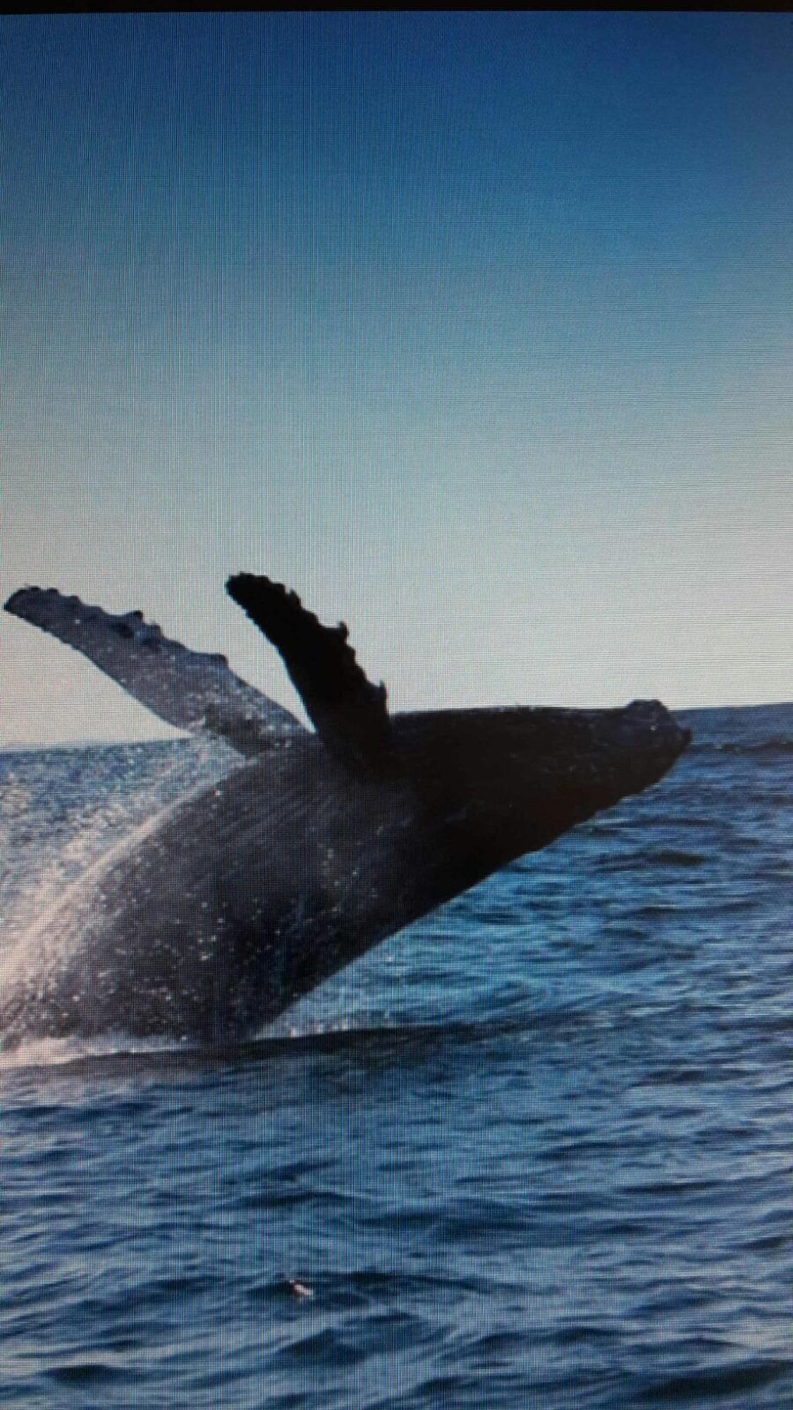 Instalaciones Recreativas Duna Lodge