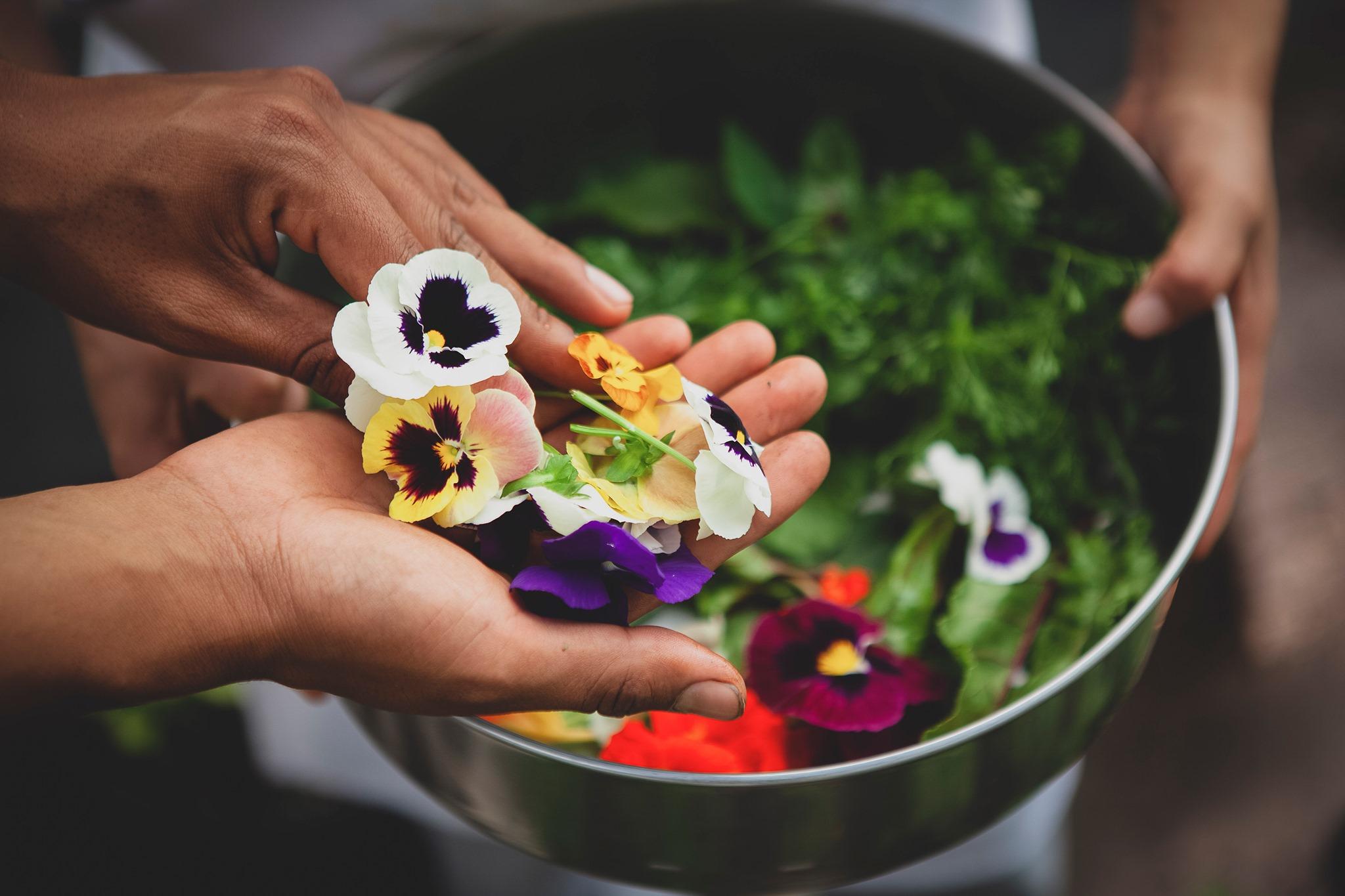 Restaurant Huayacán Cuernavaca Curamoria Collection