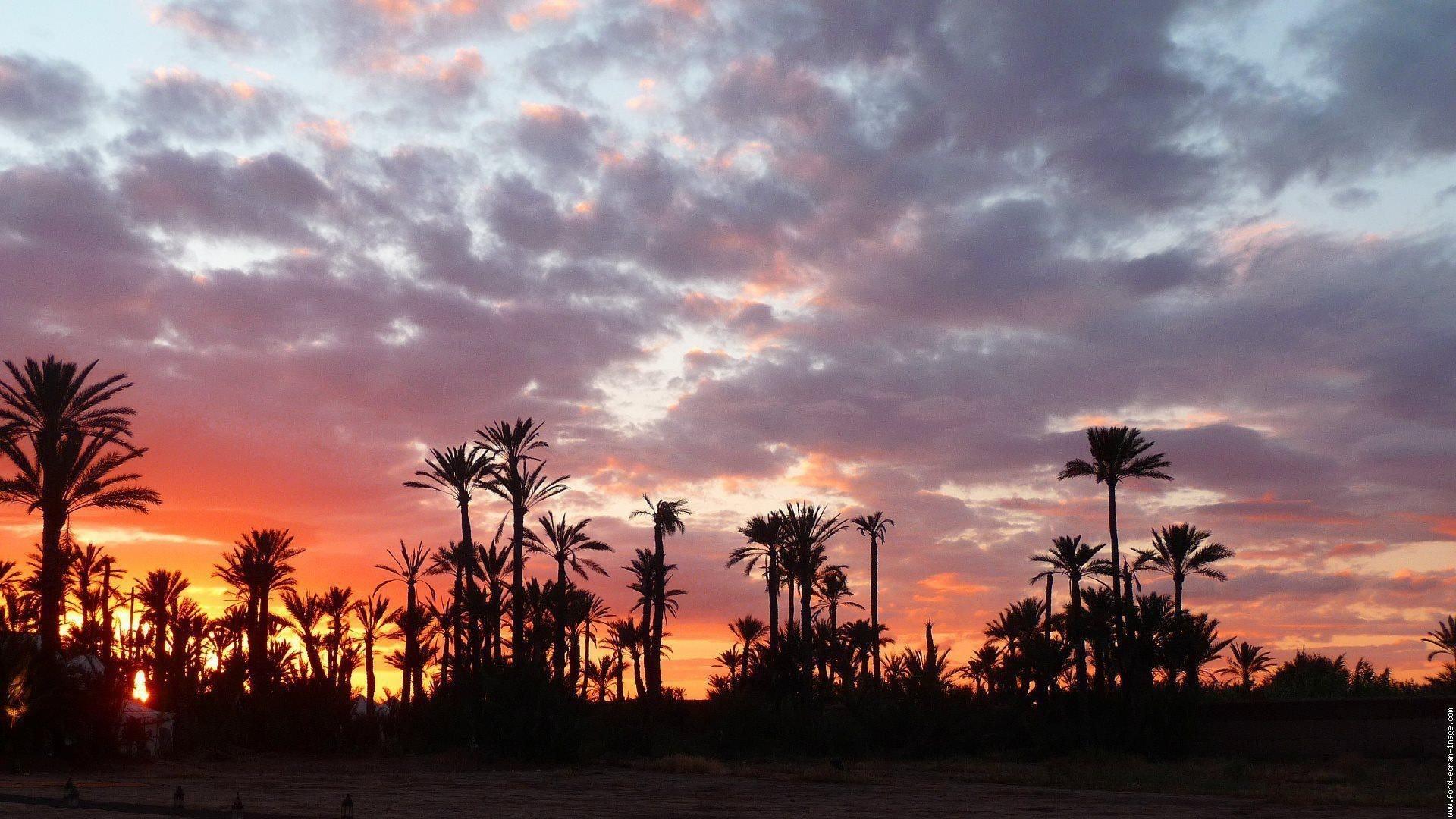 Comodidades del Alojamiento Kasbah Ziwana
