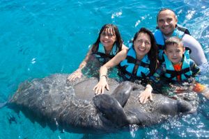 Actividad - Cozumel: Manatee Encounter