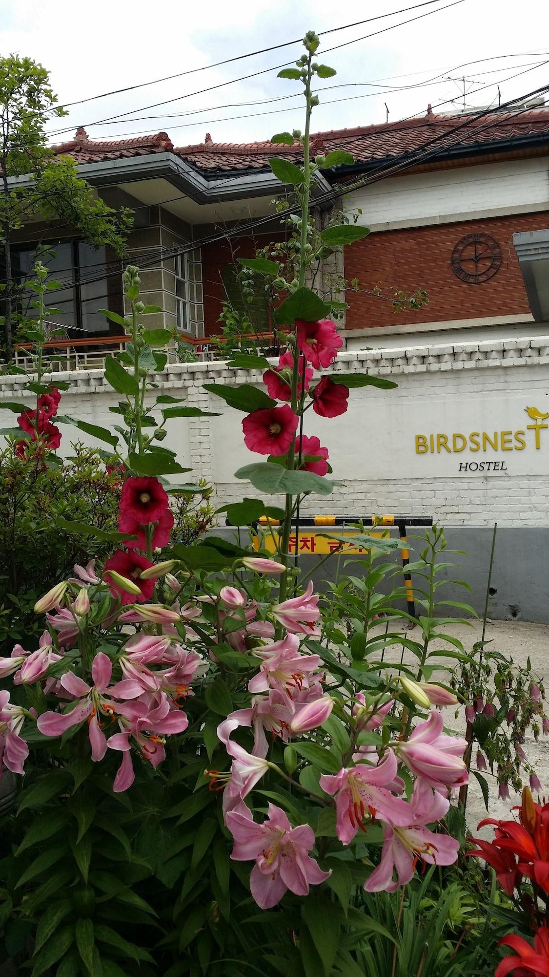 Varios Birdsnest Hostel Hongdae